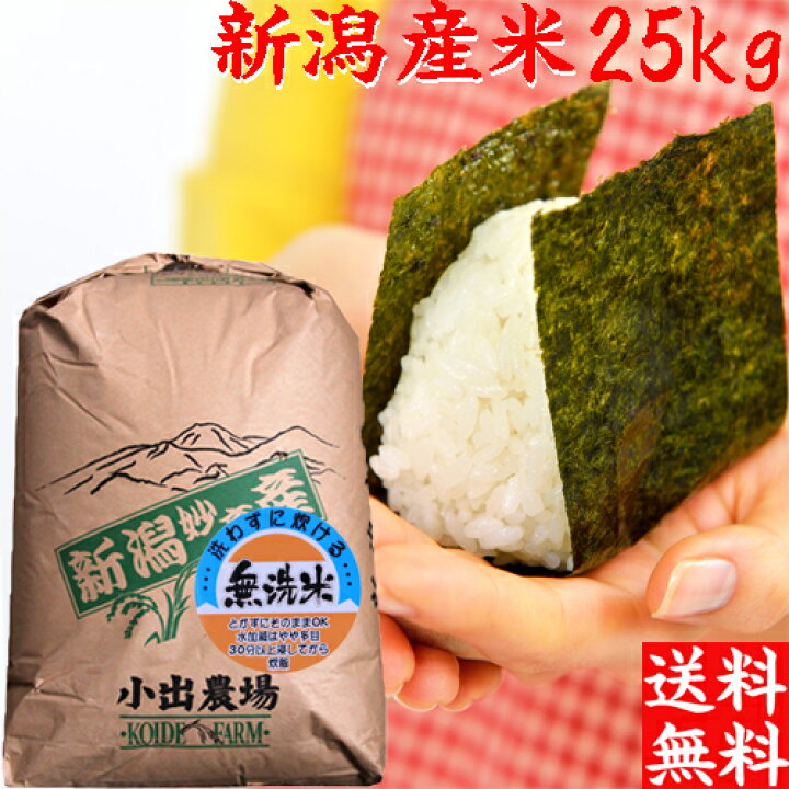 楽天市場】米 令和6年 新潟産 業務用米 25kg 無洗米 送料無料 新潟米  