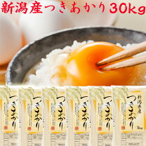 楽天市場】新潟県産 コシヒカリ 新米 30kgの通販 