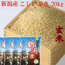 楽天市場】山口 米 玄米 30kgの通販