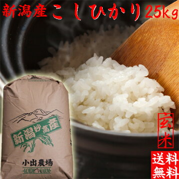 楽天市場】【玄米】埼玉産 コシヒカリ玄米25kg令和7年産精米22.5kg 