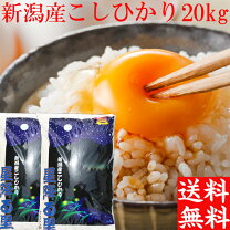 楽天市場】新潟 こしひかり20kgの通販 