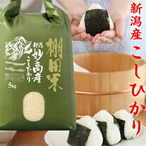 楽天市場】令和2年 新潟産コシヒカリ 5kgの通販 新潟県産 コシヒカリ 5kg 2袋セット