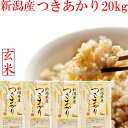 令和6年 新潟県産 つきあかり 玄米 20kg 送料無料 5kg×4袋 新潟米 げんまい 新潟産 お米 ブランド米 こめ おこめ 安いお米 お取り寄せ おいしいお米 美味しいお米 美味しい おいしい 新潟 米 ギフト