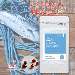 y݌ɌzMyIKX[@Tvg@@120JvZ@_CGbg@N