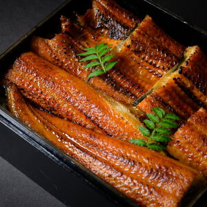 ȏd B BX  Ȃ V EiM Hi  O yp̉N̓ ypN̓ N̓ 2025 y Mtg 蕨 Vd V EiMΏĂV̊ Ȃ̊