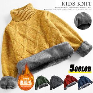 q Z[^[ ^[glbN LbY jbg Z[^[ N g  nClbN j̎q ۉ P[u҂  [EFA  ~ ʊw JWA qǂ Wj