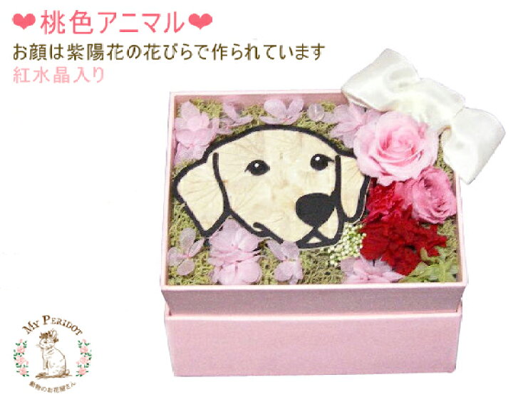 楽天市場 送料無料 桃色アニマル プリザーブドフラワー 犬 猫 ペット 春 誕生日 ギフト お供え お供え花 ペット 供養 花 アニマルフラワー プレゼント お花 誕生日プレゼント 仏花 戌年 退職祝い お返し 卒業 お礼 お祝い カーネーション 敬老の日 母の日