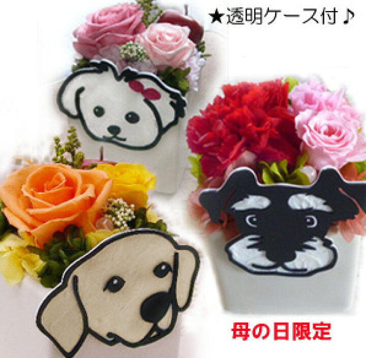 楽天市場 送料無料 アニマルpot ペット 供養 花 プリザーブドフラワー 母の日 犬好き プレゼント 退職祝い フラワーアレンジメント 枯れない 犬 ねこ ケース入り プレゼント お花 父の日 退職祝い 卒業 お礼 お悔み ペット メモリアル お祝い 誕生日 バレンタイン