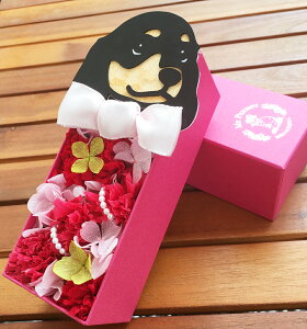 ut[vvU[uht[ a j ̓ ̓ o^C zCgf[ Mtg v[g a j 蕨  ͂Ȃ CeA ̓ t[