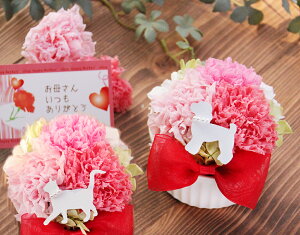 uJ[l[Vh[vvU[uht[ ̓ a j ̓ Mtg v[g  J[l[V ybg AObY a A CeA Ԃ L 