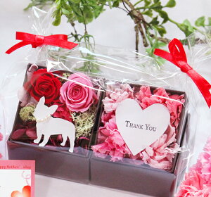 y̓miniBOX2ZbgzvU[uht[ ̓ zCgf[{bNX Mtg ybg  4FJ[l[V  L  BOX 2Zbg Iׂ铮VGbg ̓Mtg  