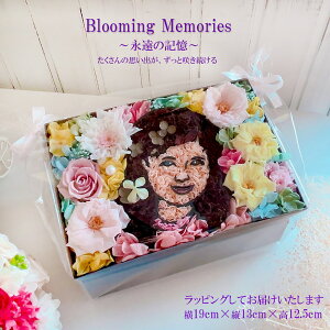 Gt[ i̋L BloomingMemories At[  ~ l\  O  \O @v vU[uht[   t[ AWg   @