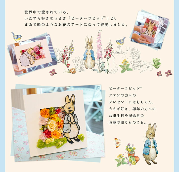 楽天市場 送料無料 ピーターラビット フラワーボックス プリザーブドフラワー 母の日 プレゼント 花 アレンジ ピーターラビットフラワーズ 結婚祝い 結婚記念日 入学祝い 開店祝い 卒業祝い 退職祝い 結婚式 花束贈呈 うさぎ バレンタイン ホワイトデー テレビ装飾