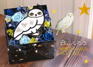 �u�t�N���E�v�v���U�[�u�h�t�����[ �n���E�B�� �a���� �����j�� �o�����^�C�� �z���C�g�f�[ ���~ �� ��̓� �z���C�g�f�[ �a�����v���[���g �{�b�N�X �M�t�g �͂�Ȃ� �� ���ӂ��낤 �� �� 