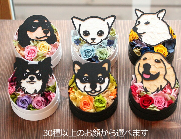 楽天市場 送料無料 アニマルキャンディ プリザーブドフラワー 敬老の日 犬 誕生日 フラワーアレンジメント 猫 うさぎ プレゼント お供え お供え花 ペット 供養 花 メモリアルグッズ プリザ ギフト 動物 お悔み ダックス 柴犬 チワワ テレビ小道具 テレビ装飾 お花 母