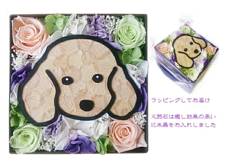 楽天市場 送料無料 プリザーブドフラワー ボックス ギフト お悔やみbox フラワーアレンジメント 枯れない お花 メモリアル お供え お供え花 ペット メモリアルグッズ 供養 花 お悔やみ 仏花 プリザーブドフラワー 犬 猫 うさぎ 仏壇 いぬ ねこ ウサギ プリザーブド