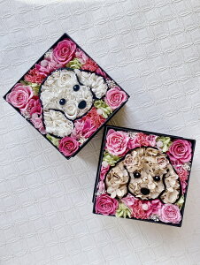 ugCv[hvvU[uht[ a j o^C zCgf[ Mtg v[g  J[l[V ybg {bNX t[AWg  ˂ {bNX