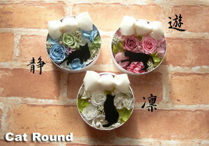 uLbgEhvvU[uht[ a j  o^C zCgf[ Mtg v[g j 蕨   ybg LD L A  ͂Ȃ