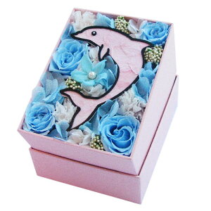 usNhtBv vU[uht[ a o^C zCgf[ j ̓t[AWg K̏ے CJ ͂Ȃ  v[g   q[