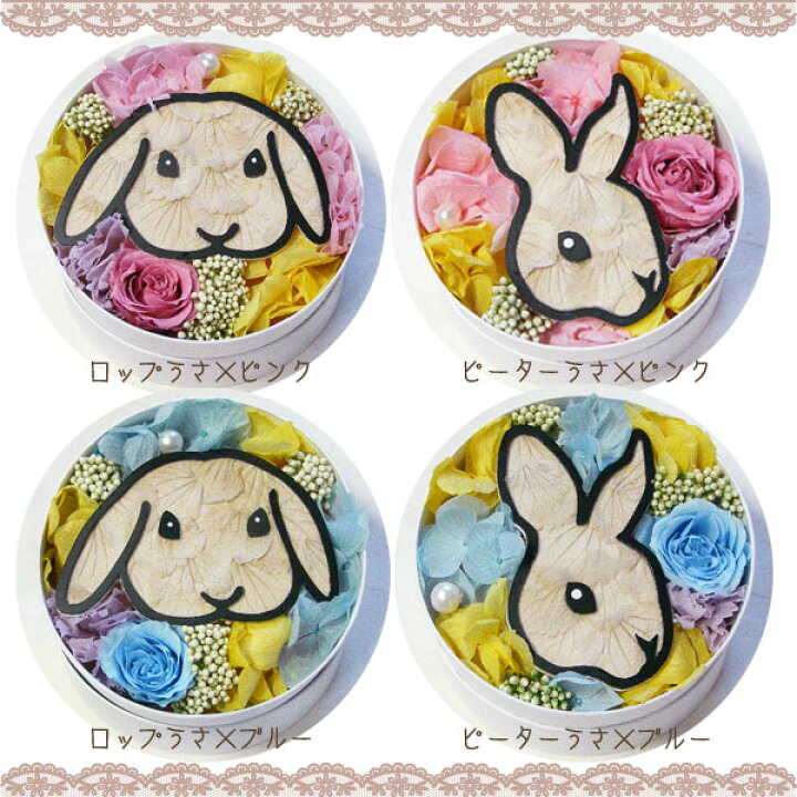 楽天市場 送料無料 ラウンドうさぎフラワー プリザーブドフラワー お供え お供え花 ペット メモリアルグッズ うさぎ 誕生日 置物 インテリア 花 ギフト プレゼント 退職祝い 卒業 お礼 母の日 結婚祝い お悔み お供え バレンタイン ホワイトデー テレビ装飾 楽天市場 送料無料 ラウンドうさぎフラワー プリザーブドフラワー お供え お供え花 ペット メモリアルグッズ うさぎ 誕生日 置物 インテリア 花 ギフト プレゼント 退職祝い 卒業 お礼 母の日 結婚祝い お悔み お供え バレンタイン ホワイトデー テレビ装飾