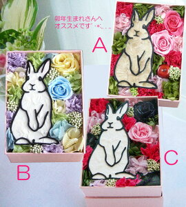 uu[rbgvvU[uht[ ̓ zCgf[ NX}X@Mtg v[g  J[l[V ybg A a j   JXj 