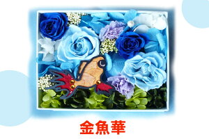 u؃XNGAvvU[uht[ ̓ ̓ o^C zCgf[ a j ~   av[g Ȃ̓ hV̓ A A AW J