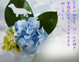 uvvU[uht[t[ a o^C zCgf[ j ~  ̓ AWg @a A@z ސEj Ԃ   6̒a