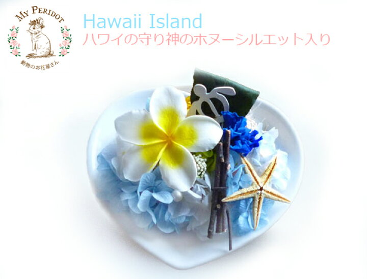 楽天市場 送料無料 母の日 ハワイ島 プリザーブドフラワー おしゃれ フラワーアレンジメント ハワイアン ギフト 花 海 おもしろ プレゼント 動物 誕生日プレゼント お返し 卒業 お礼 開店祝い 結婚祝い ハワイ 敬老の日 御祝い お中元 バレンタイン 父の日