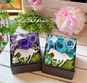 uRunning horsev vU[uht[ a n  WbL[ |j[ ߔN xt[ n ̓ a j LO  n n  n Zn ̓ v[g ԏ 