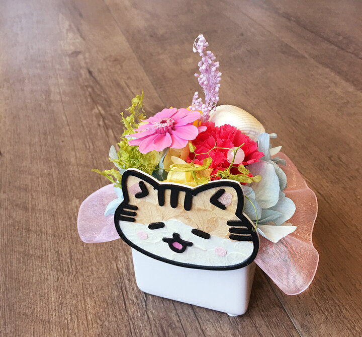 楽天市場 送料無料 とこなつからねこたつ キジ白猫 子猫 プリザーブドフラワー 沖縄の保護猫出身 夏らしい 贈り物 ケース付き フラワーアレンジメント 猫好き 花 誕生日プレゼント 保護猫へ寄付 メモリアル お供え ペット 道具老の日 クリスマス クリスマスプレゼント