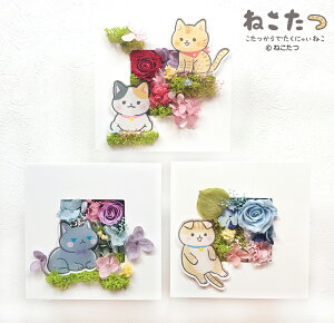 u˂t@~[̃sNjbNv̓ ̓ o^C zCgf[ a j  یlRx LN^[ ˂D 蕨 t[AWg  v[