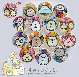 「すみっコぐらし 花 フラワーコレクション」プリザーブドフラワー 母の日 父の日 ホワイトデー 誕生日 記念日 ギフト プレゼント お礼 おばけ しろくま ふろしき ぺんぎん？ たぴおか ねこ ざっそう とんかつ えびふらいのしっぽ とかげ にせつむり ほこり やま えびてん