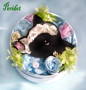 uq̃~L[t[v vU[uht[ a j o^C zCgf[ NN a v[g t[AWg x q  N  AW av[