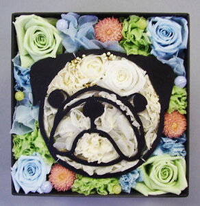 upOv vU[uht[ a j o^C zCgf[ Mtg v[g j 蕨  ͂Ȃ CeA t[{bNX uU[uht[ u