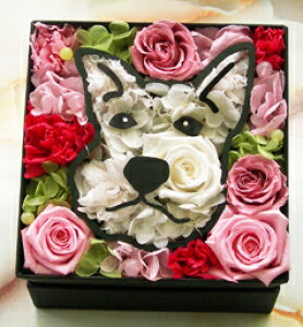 uViEU[vvU[uht[ a j o^C zCgf[ Mtg v[g  J[l[V ybg eA A {bNXt[   a 