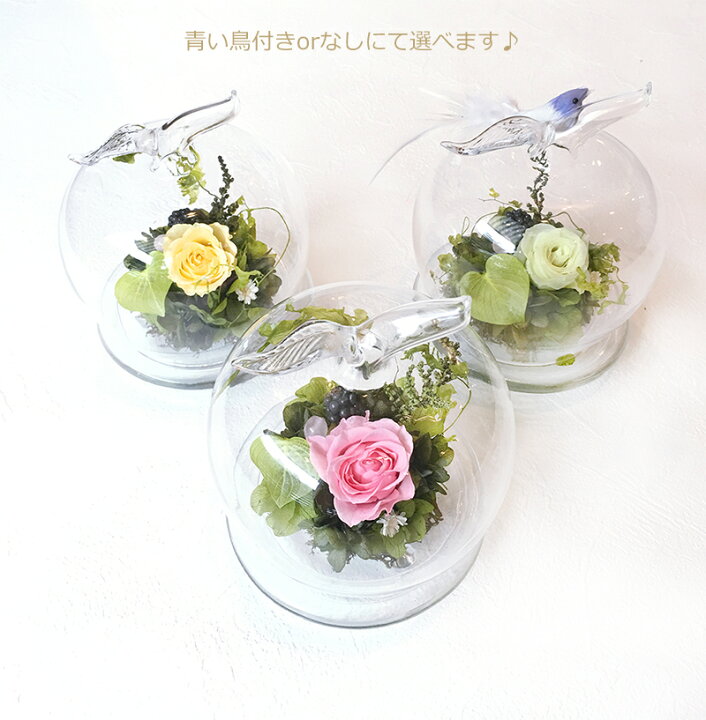 楽天市場】「アップルドーム」 プリザーブドフラワー 誕生日 結婚祝い  