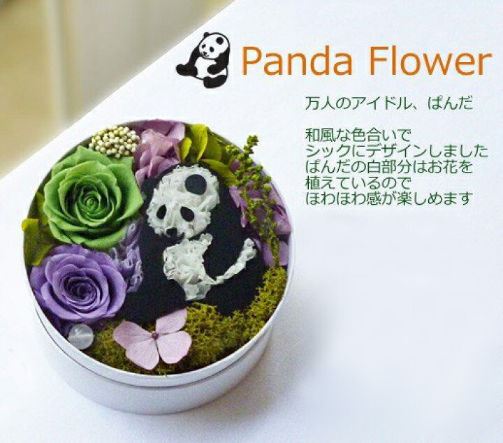 楽天市場 送料無料 パンダフラワー プリザーブドフラワー ギフト誕生日 プレゼント 花 フラワーアレンジメント 飼育員 卒業 お礼 ぱんだ フラワーアレンジ お見舞い 退職祝い お供え お悔み お祝い お礼 テレビ小道具 テレビ装飾 母の日 父の日 クリスマスプレゼント 楽天市場 送料無料 パンダフラワー プリザーブドフラワー ギフト誕生日 プレゼント 花 フラワーアレンジメント 飼育員 卒業 お礼 ぱんだ フラワーアレンジ お見舞い 退職祝い お供え お悔み お祝い お礼 テレビ小道具 テレビ装飾 母の日 父の日 クリスマスプレゼント