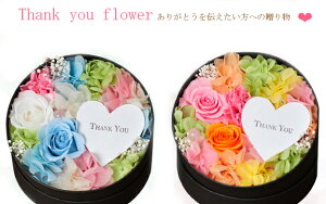 uThe Circle of Thanksi肪Ƃ̗ցjvvU[uht[ a o^C zCgf[ j ̓ ̓ t[AWg j a ސEj Ԃ  