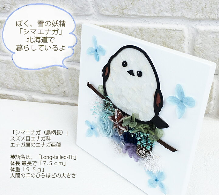 楽天市場 送料無料 雪の妖精 シマエナガ プリザーブドフラワー 誕生日 メモリアル 枯れないお花 おじいちゃん おばあちゃん 花 お祝い プレゼント インテリア 鳥好き ギフト ハンドメイド 新生活 冬 野鳥 壁 敬老の日 バレンタイン 母の日 父の日 プリザーブド