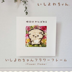 yVzu킿v ̓ ̓ vU[uht[   hana V a LO  Mtg v[g