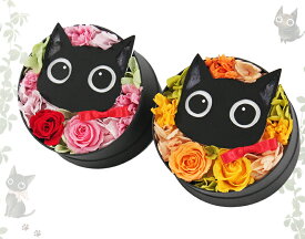 楽天市場 プリザーブドフラワー 黒猫の通販 楽天市場 プリザーブドフラワー 黒猫の通販