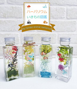 「ハーバリウムいきもの図鑑」 プリザーブドフラワー 母の日 父の日 誕生日 結婚祝い 花 ミニハーバリウム バレンタイン ホワイトデー お返し 退職祝い 入社祝い 卒業祝い 入学祝い 卒園祝