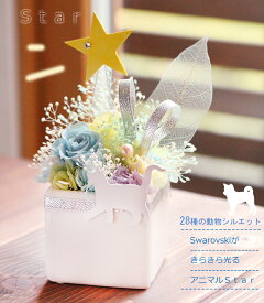 「スター」プリザーブドフラワー 母の日 父の日 バレンタイン ホワイトデー 誕生日 結婚祝い 七夕 プレゼント 星に願いを フラワーアレンジメント 犬 ギフト ねこ 6月 誕生石パール 星 プレゼント 猫 うさぎ お悔やみ お供え 仏花 メモリアル 花 送料無料