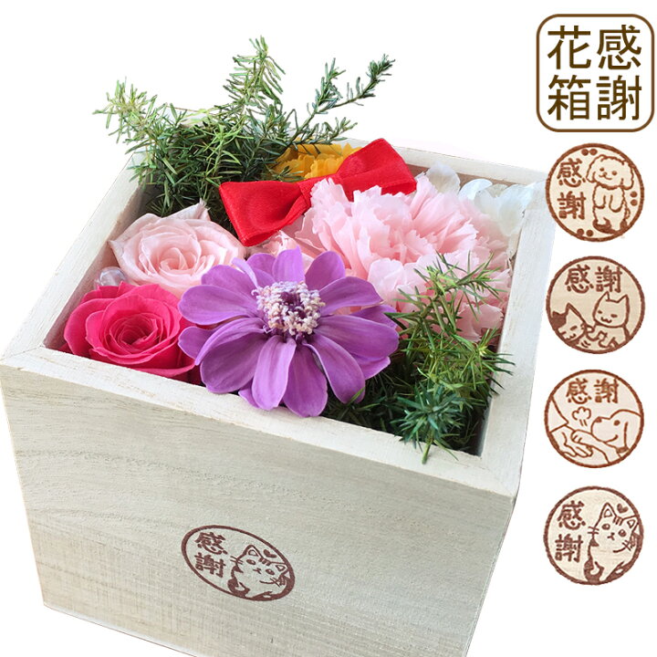 楽天市場 送料無料 プリザーブドフラワー 感謝花箱 フラワーアレンジメント 父の日 退職祝い 犬 誕生日 花 和風 感謝を贈る花箱ペット 母の日 和風 猫 いぬ好き ねこ好き 花 ギフト プレゼント 結婚祝い フラワーボックス お礼 退職祝い 敬老の日 母の日クリスマス