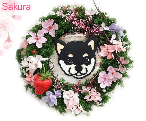 uԌ[Xva j ~  ̓ o^C zCgf[ vU[uht[ Mtg v[g ybg  t[AWg t[[X t  L  