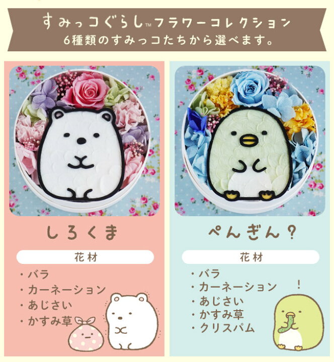 楽天市場 送料無料 すみっコぐらし フラワーコレクション プリザーブドフラワーすみっコぐらし ギフト 父の日 プレゼント 花 カーネーション すみっこぐらし グッズ キャラクター 誕生日 アレンジ 結婚記念日 結婚祝い 入学祝い 卒園祝い 発表会 楽屋花 テレビ小道具