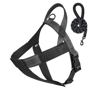 y50OFFN[|菤iz  ⏕nhtiCn[lXE[hZbg p hbO ybg ^ ^ n[lX [h Zbg SȂ K E₷ v