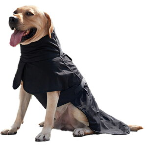 u}\ԌP10{v  bYR[g h hWPbg WPbg R[g  h ~ ~ Č ̕ H~ hbOEFA ^ ^ hbOEFA t[