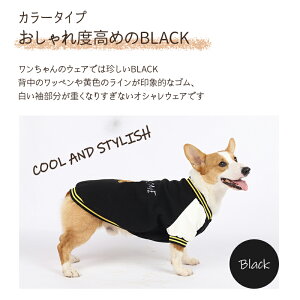  X^W X^W X^WAWp[ AE^[ 2025 ~ h ~ ~ R[M[ ̕ H~ hbOEFA ^ ^ IV JWA AEghA t[X 