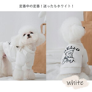 u}\ԌP10{v  At@xbgp[J[ g[i[ p hbO ybg ^ ^ STVc JWA N}  vg S Lт悢 K E